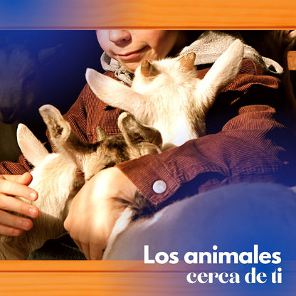 Gallinero Para Pavos Y Otras Grandes Aves - Caseta Para Animales - Refugio Para Cabras Y Ovejas_4