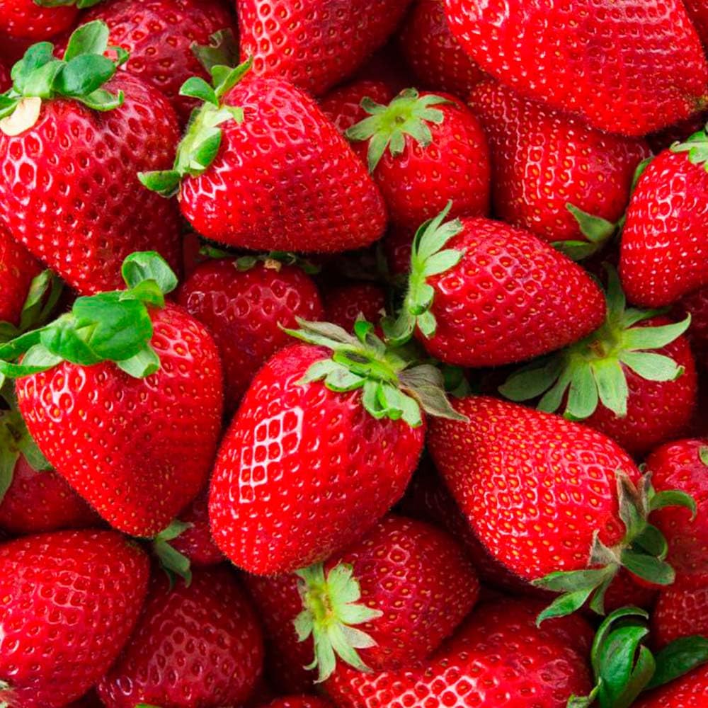 Pack Ahorro 2x Fragancia Para Lámpara Catalítica 500ml: Aroma Wild Strawberry - Disfruta De Tu Aroma Favorito Más Tiempo_2