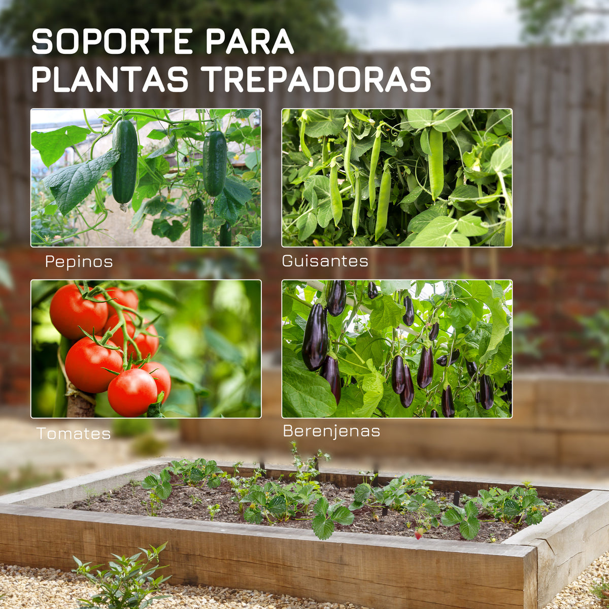 Enrejado De Jardín Outsunny Acero, Pe Verde 180x100x180 Cm_5