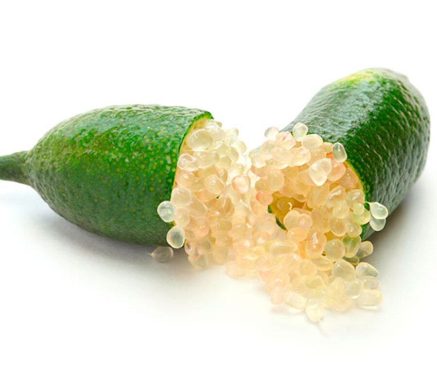 Caviar Cítrico - Plantón De 1 Metro De Finger Lime - Árbol Del Caviar De Limón_1