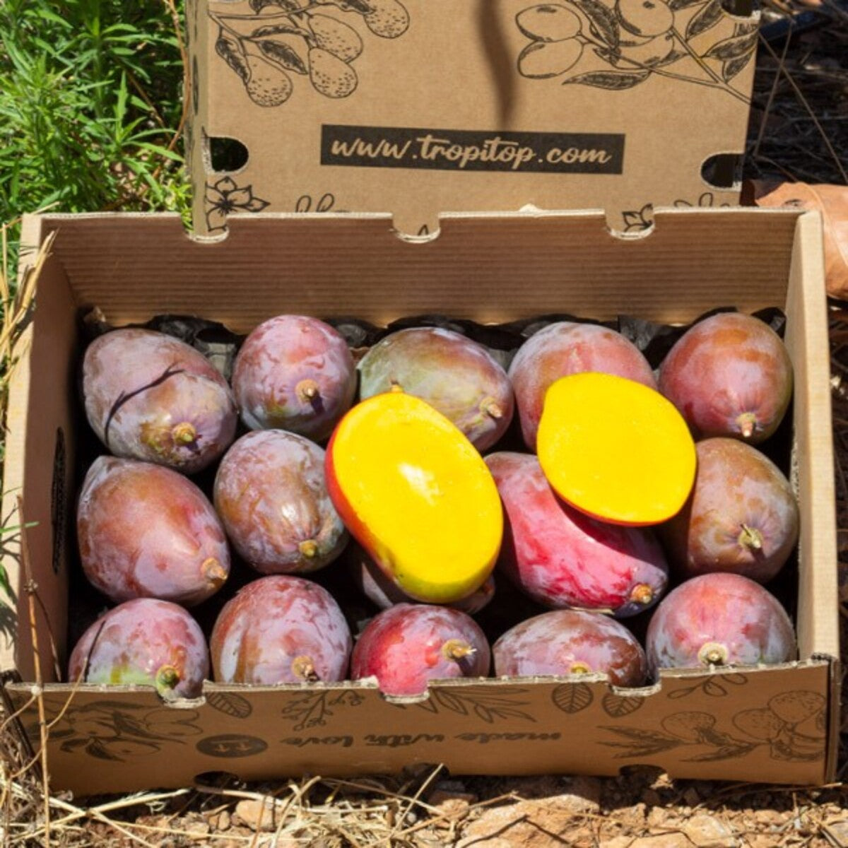 Mangos Ecológico Español Caja De 4kg_3