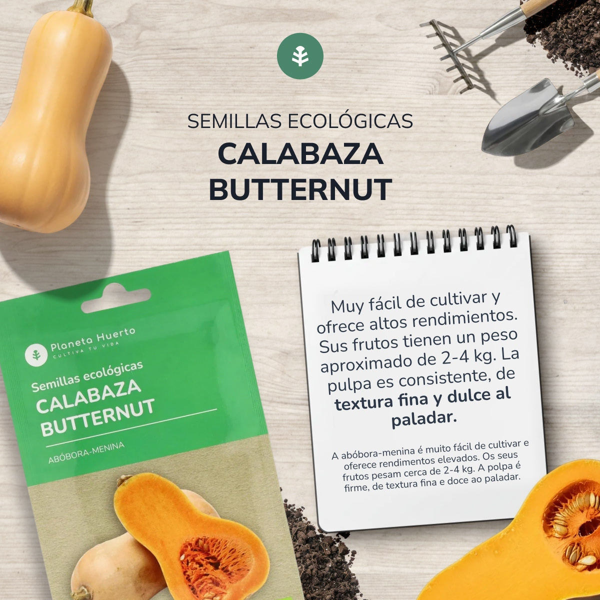 Semillas de Calabaza Butternut ecológicas Planeta Huerto