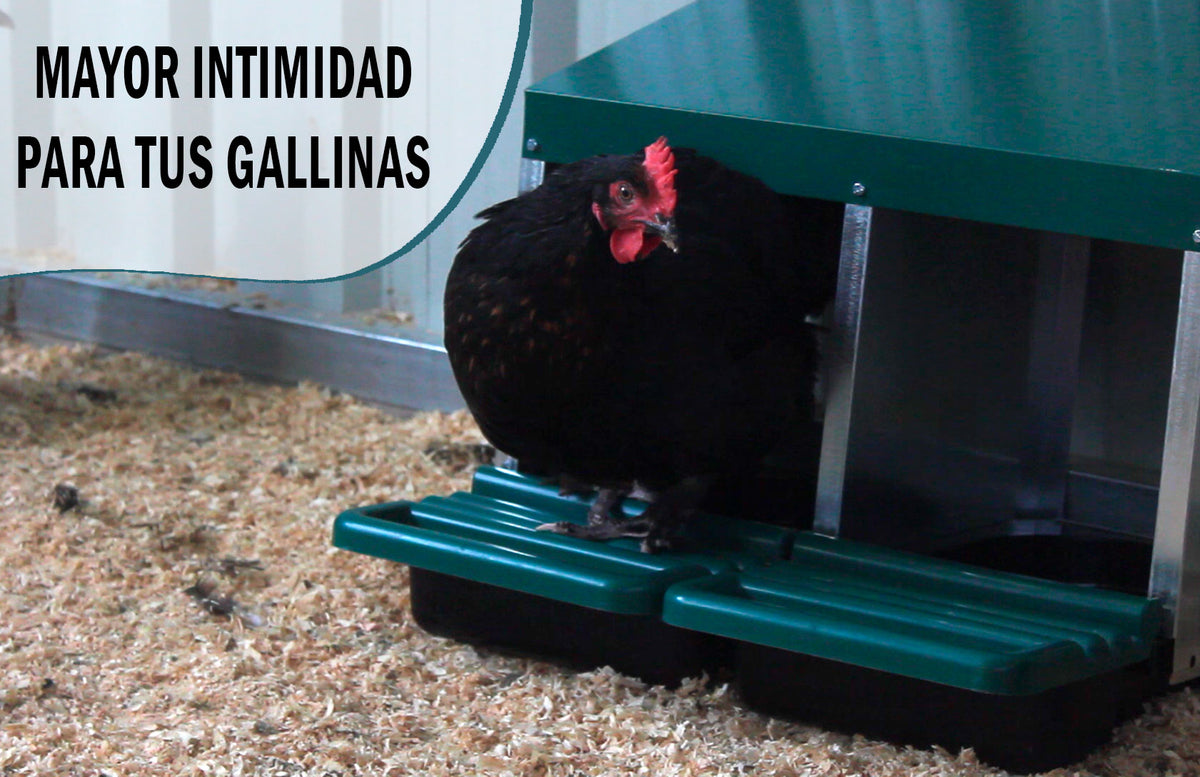 Ponedero Para Gallinas Con Cajón Escamoteador - 8 Huecos_3