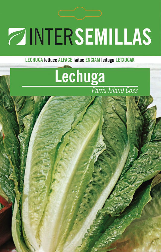 Sobre De Semillas De Lechuga Parris Island Coss_0