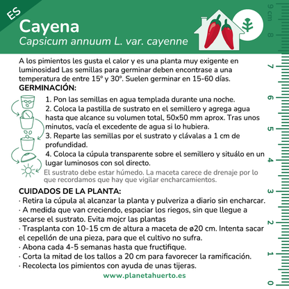 Kit de autocultivo Cayena Planeta Huerto