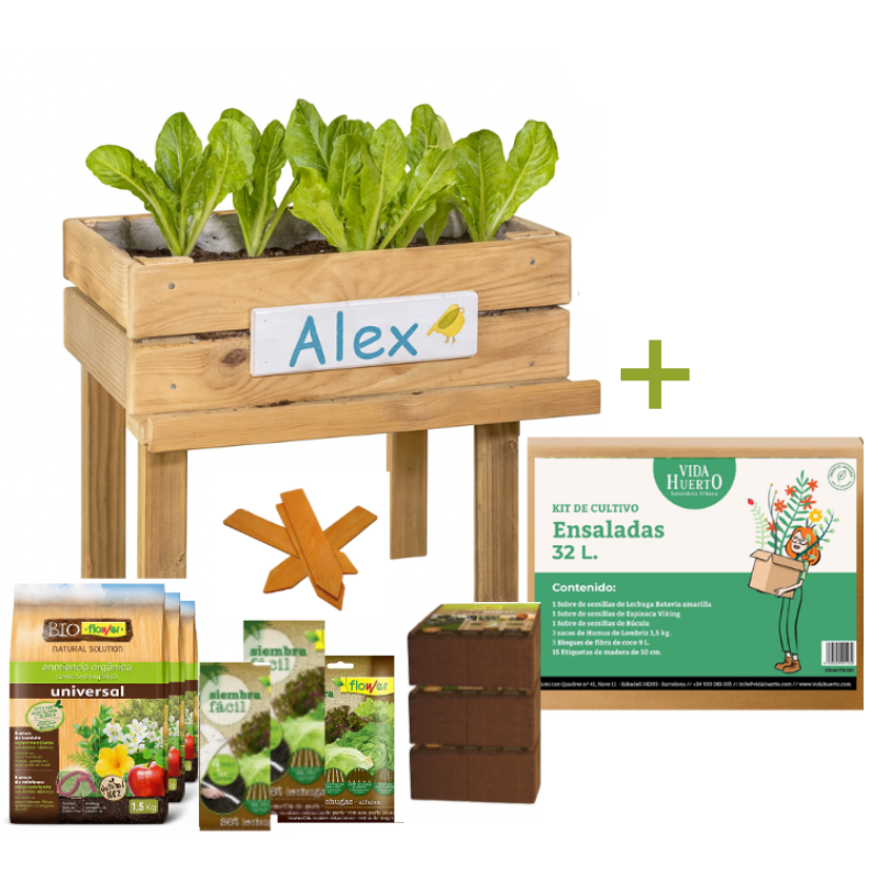 Mesa De Cultivo Infantil De Madera Con Kit De Cultivo De Ensaladas | Vidahuerto_0