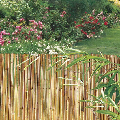 Cañizo Entero Barnizado Bambooflex 2x3 M Nortene_4