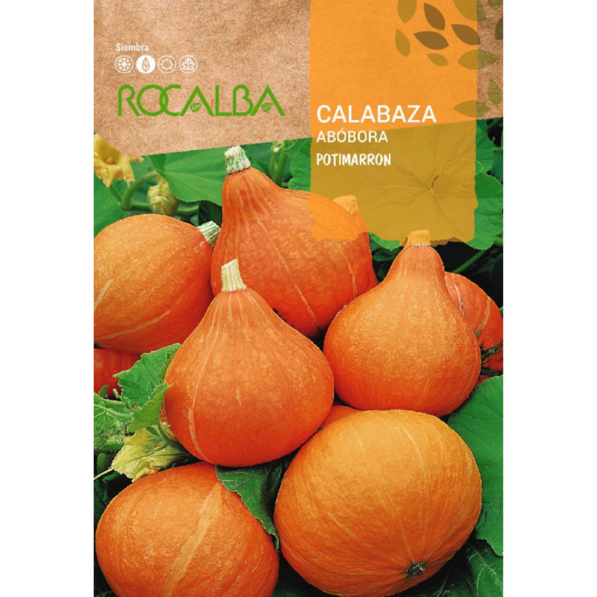 Semillas de Calabaza potimarron