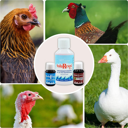 Pack 3 productos para resfriado en aves: Solurespi + Solufrío + Solustress - Alivio catarro gallinas (ref. Slpck4)_4