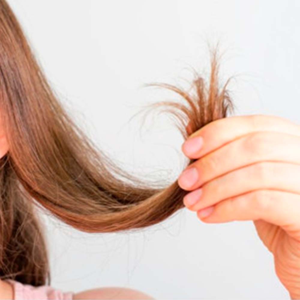 Champú Sólido para Cabello Fino - 100% Natural - Aporta Volumen, Brillo y Suavidad - Con Manteca y Polvo de Cacao - 1 ud_1