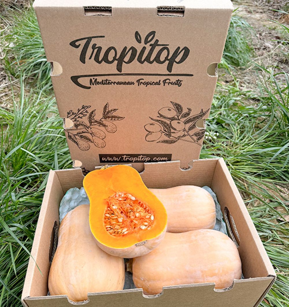 Caja De Calabaza Cacahuete De Temporada Tropitop 4kg_1