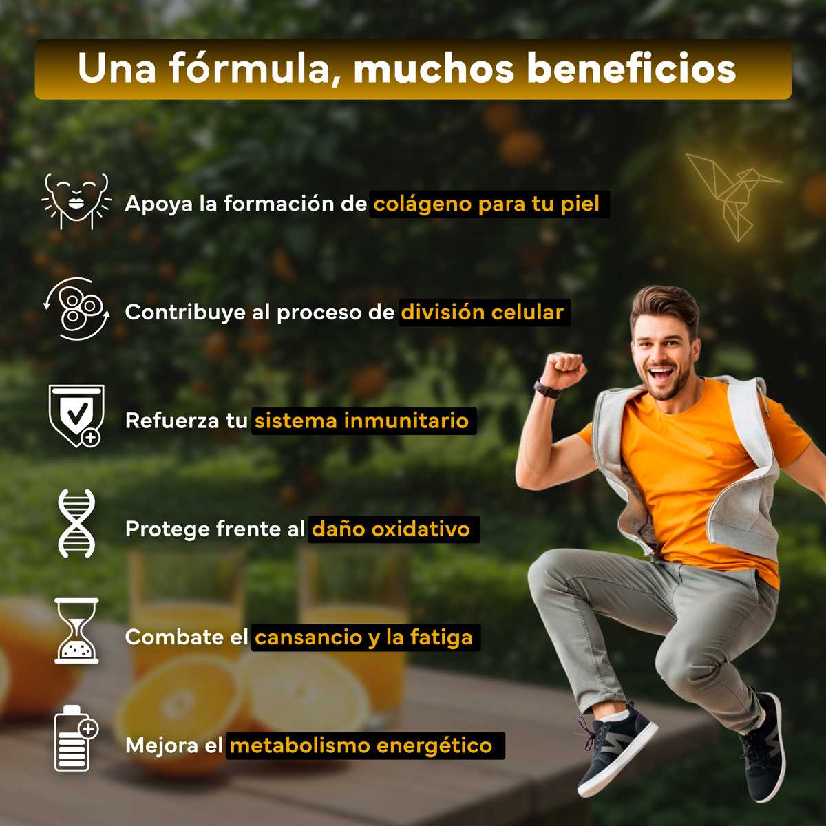 Pack 2x Vitamina C Con Zinc, Bioflavonoides Y Rosa Mosqueta De Sevens Nutrition. Refuerzo Del Sistema Inmunológico_2