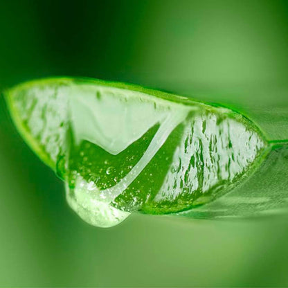 Pack 10 Jabón Natural Aloe Vera Y Rosa Mosqueta - Hidrata Y Regenera Piel Seca Y Arrugada - Mejora Cicatrices Y Estrías_3