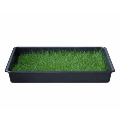 Petground, Cama Para Perros, Empapador, Alfombra Olfativa, Césped Natural, Xxl_1