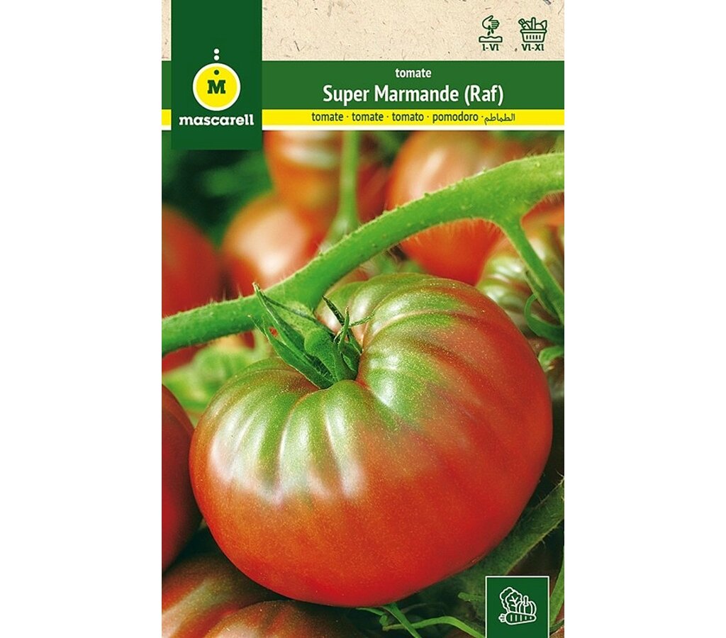 Semillas Tomate Raf (super Marmande)_0