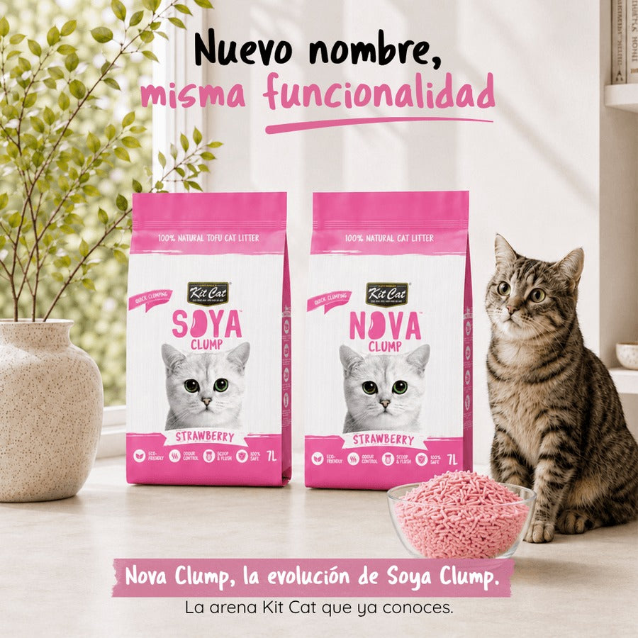 Pack 12 Kit Cat Arena Eco Nova Clump - Strawberry 7 L Arena para gatos - Dulce y Frutal Suave