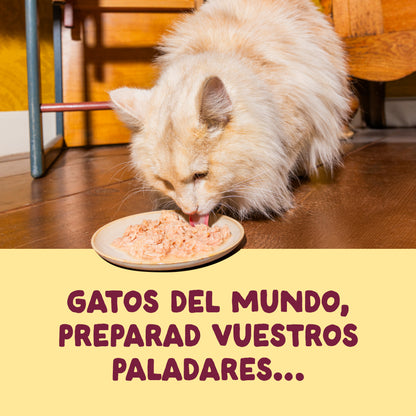 Filetes de pollo con pavo para gatos Edgard &amp; Cooper 70 g