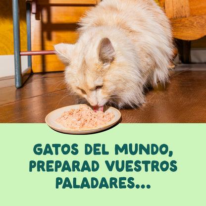 Filetes de salmón y caballa para gatos Edgard &amp; Cooper 70 g
