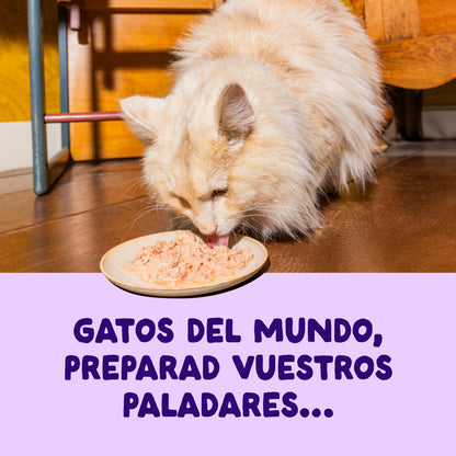 Filetes de salmón y atún para gatos Edgard &amp; Cooper 70 g