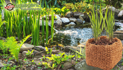 3 Cestas Para Plantas De Coco 25 X 25 X 20 Cm Cesta Para Estanque Para Estera De Banco Y Estera De Terraplén_4