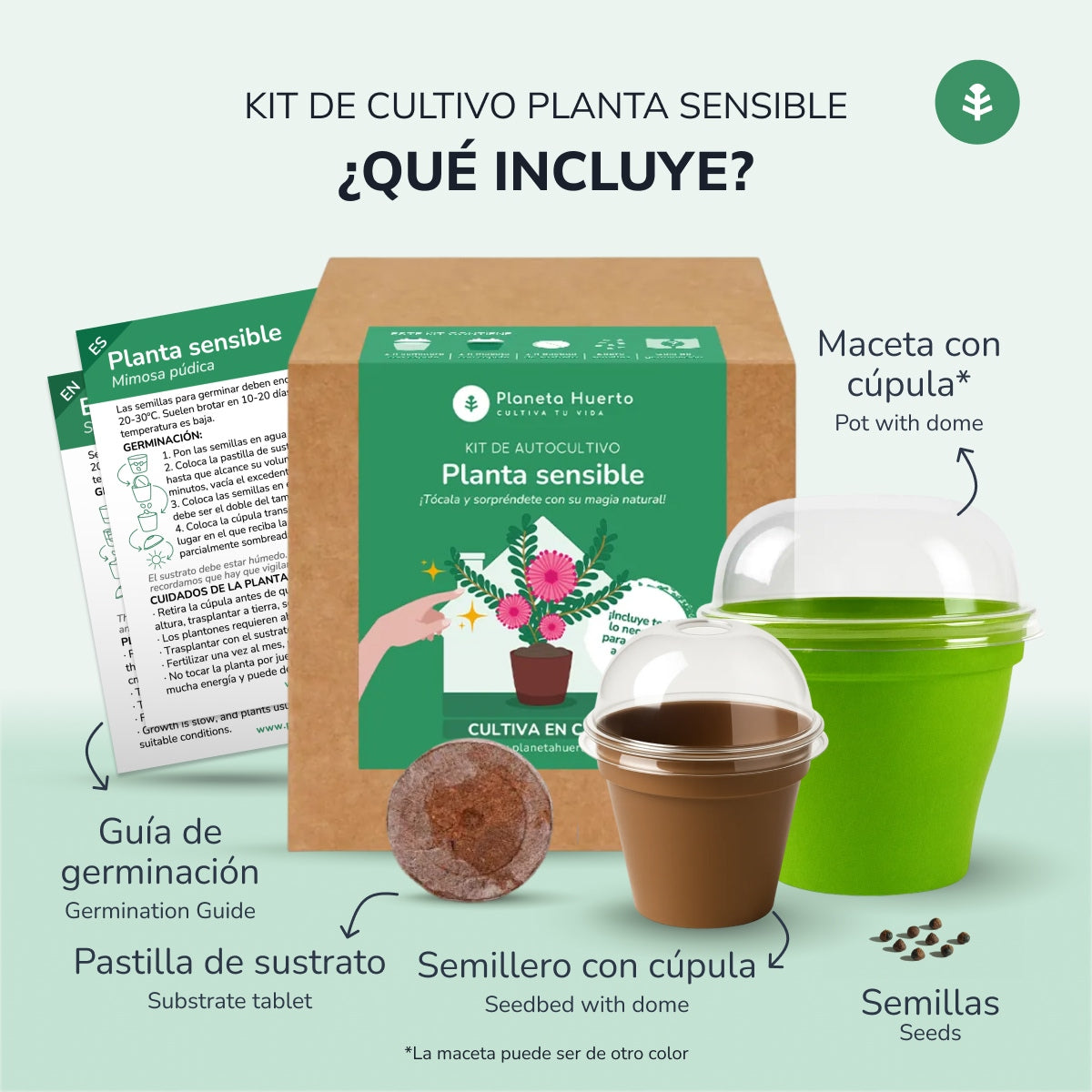 Kit de autocultivo Mimosa Sensitiva Planta Sensible Planeta Huerto