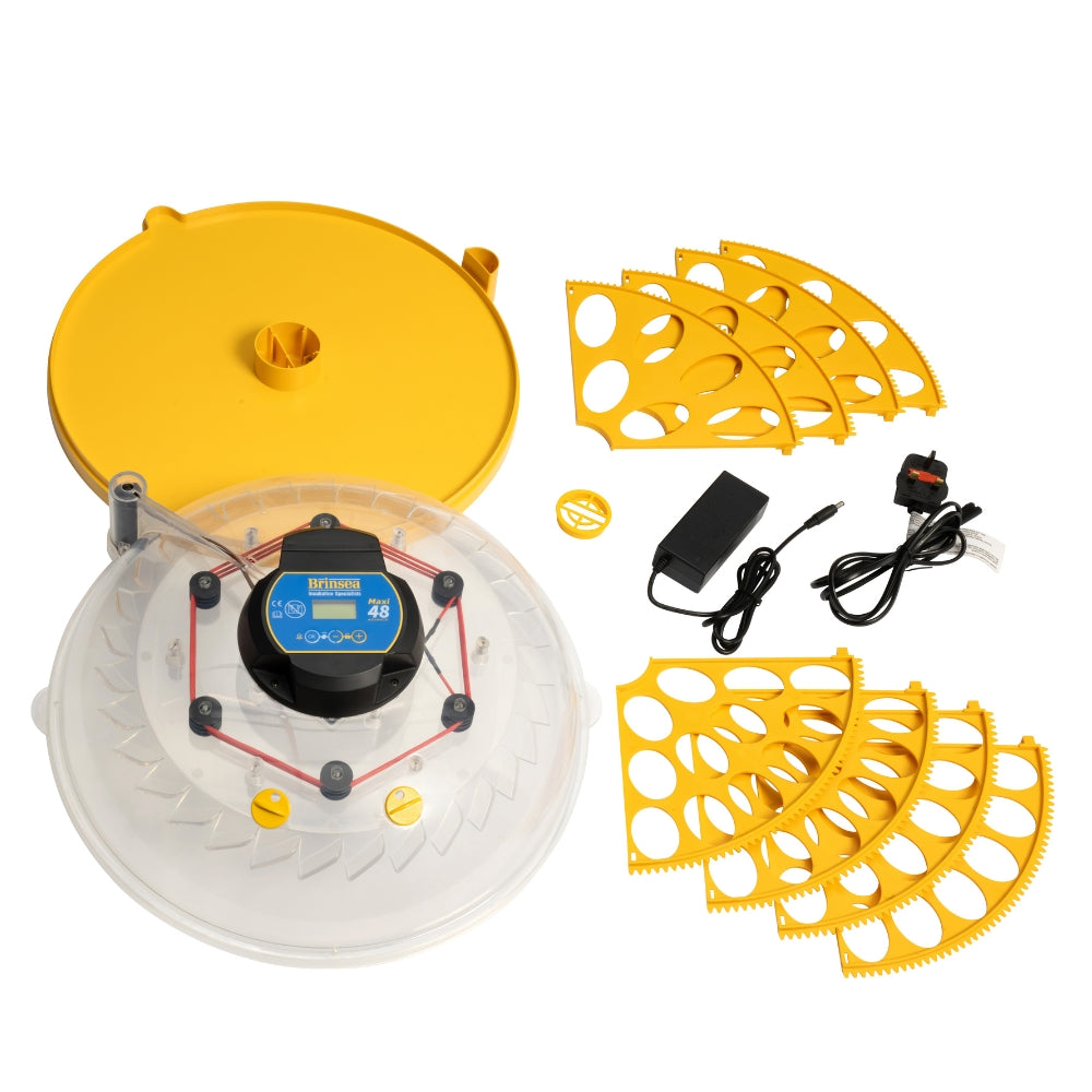 Incubadora Brinsea Maxi 48 Advance - Incubadora Para Huevos De Diferentes Especies De Ave - Con Volteo Automático_1