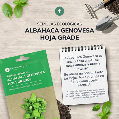 Semillas de Albahaca Genovesa ecológicas Planeta Huerto
