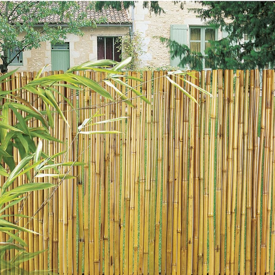 Cañizo Entero Barnizado Bambooflex 2x3 M Nortene_3