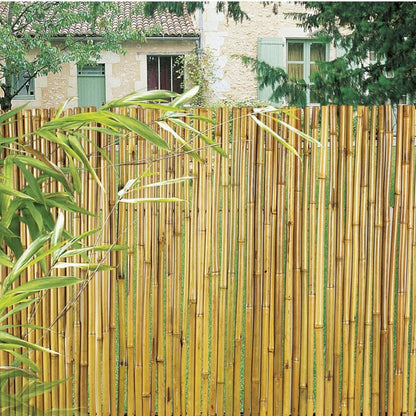Cañizo Entero Barnizado Bambooflex 2x3 M Nortene_3