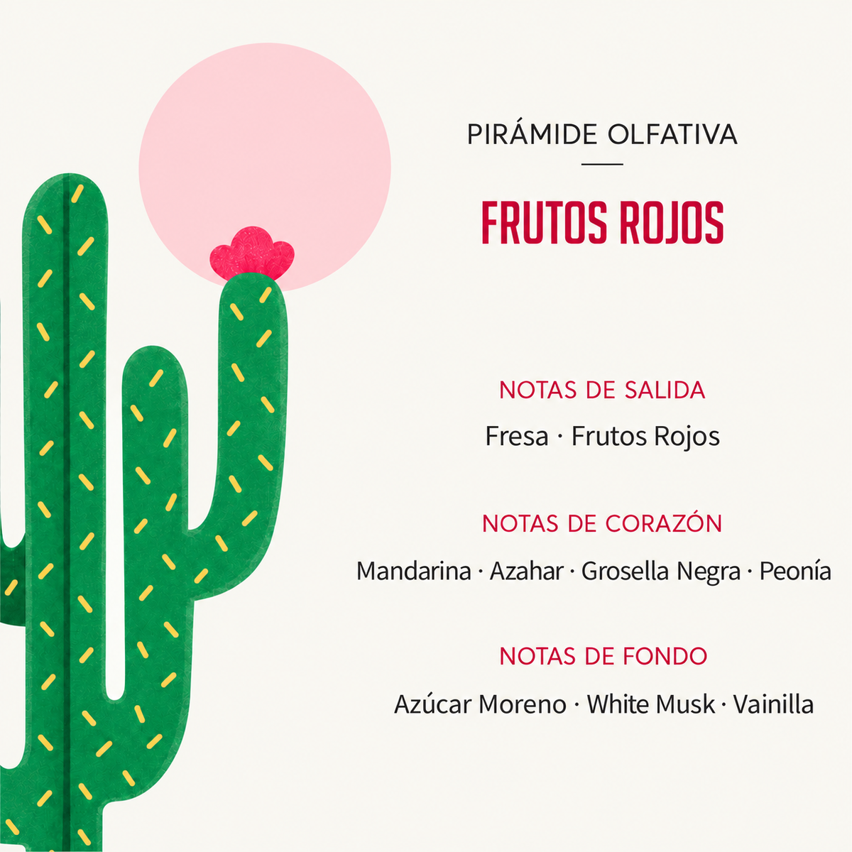 Ambientador Difusor Cactus Frutos Rojos Deco Diffuser SYS Aromas 90 ml | Aroma Afrutado y Dulce | Energizante_1