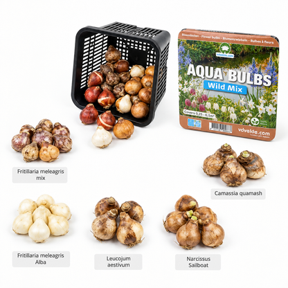 Aqua Bulbs Mezcla Silvestre - Flores Para Insectos Y Biodiversidad_3