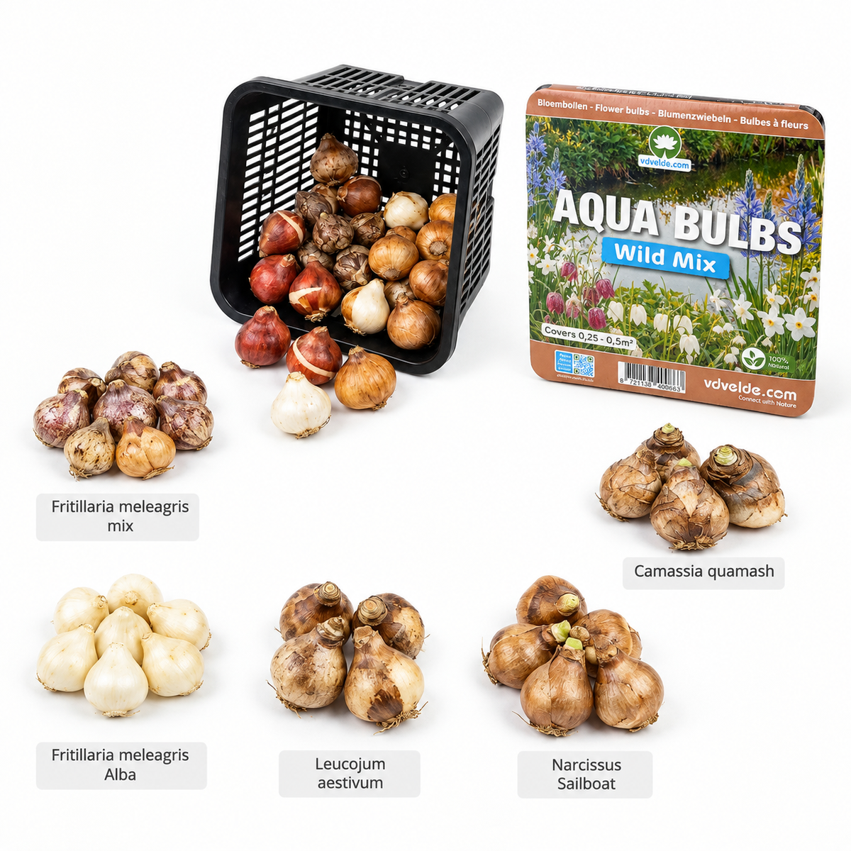 Aqua Bulbs Mezcla Silvestre - Flores Para Insectos Y Biodiversidad_3