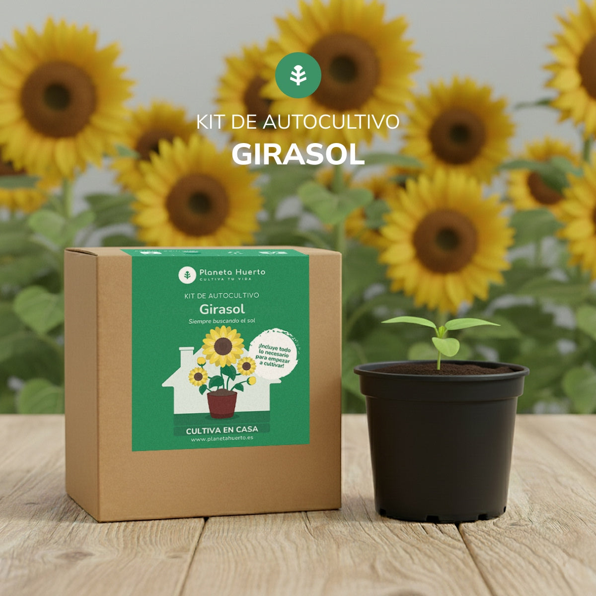 Kit de autocultivo Girasol Planeta Huerto