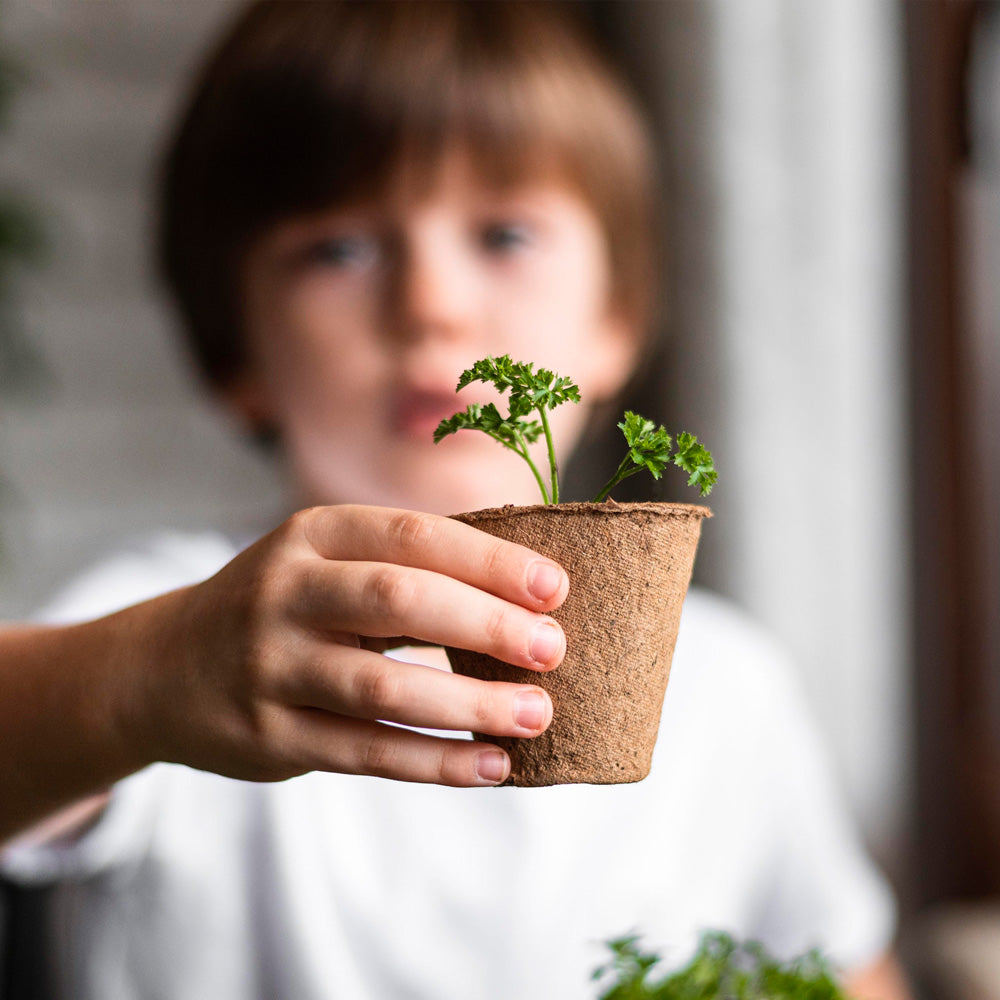 Pack 5 Kits de Cultivo Educativos Stem y Montessori | Regalo Didáctico para Niños - Resetea_5