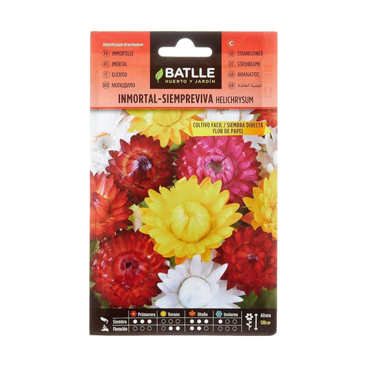 Semillas de Inmortal Siempreviva flor de papel Batlle