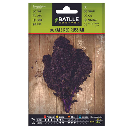 Semillas de Col Kale Red Russian Batlle