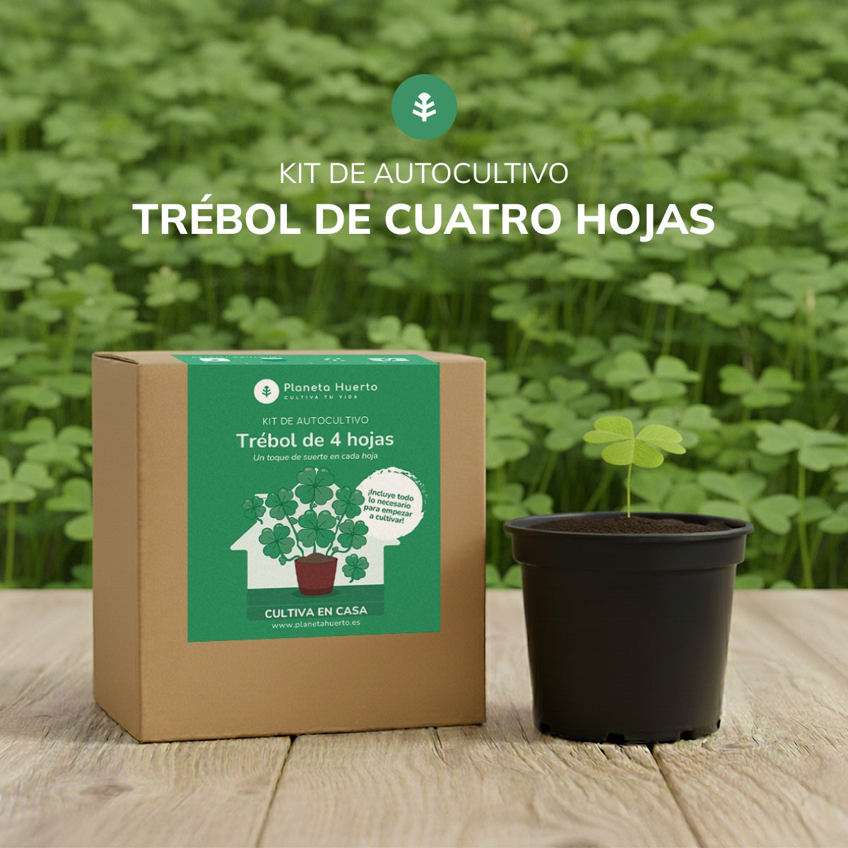 Kit de autocultivo Trébol de 4 hojas Planeta Huerto