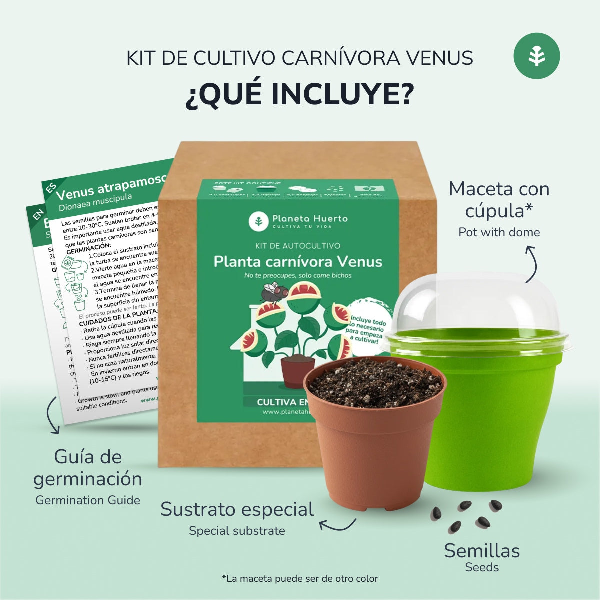 Kit de autocultivo Planta carnívora Venus atrapamoscas Planeta Huerto