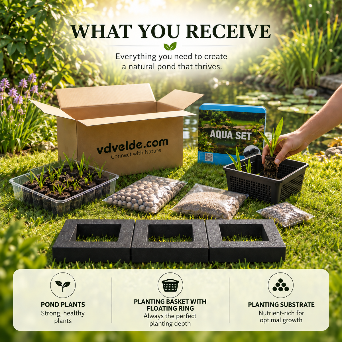 Set Isla De Plantas Estanque 3 Piezas - Set Completo Con 12 Plantas_3