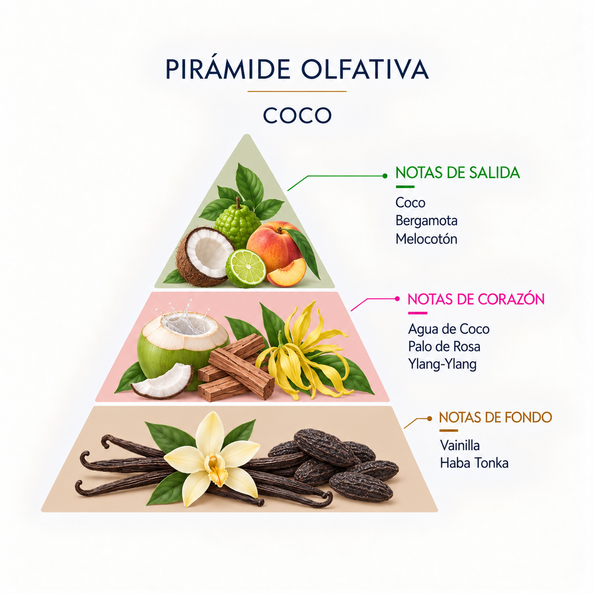 Ambientador Mikado Coco SYS Aromas 50 ml | Aroma Dulce y Afrutado | Calmante y Relajante_1