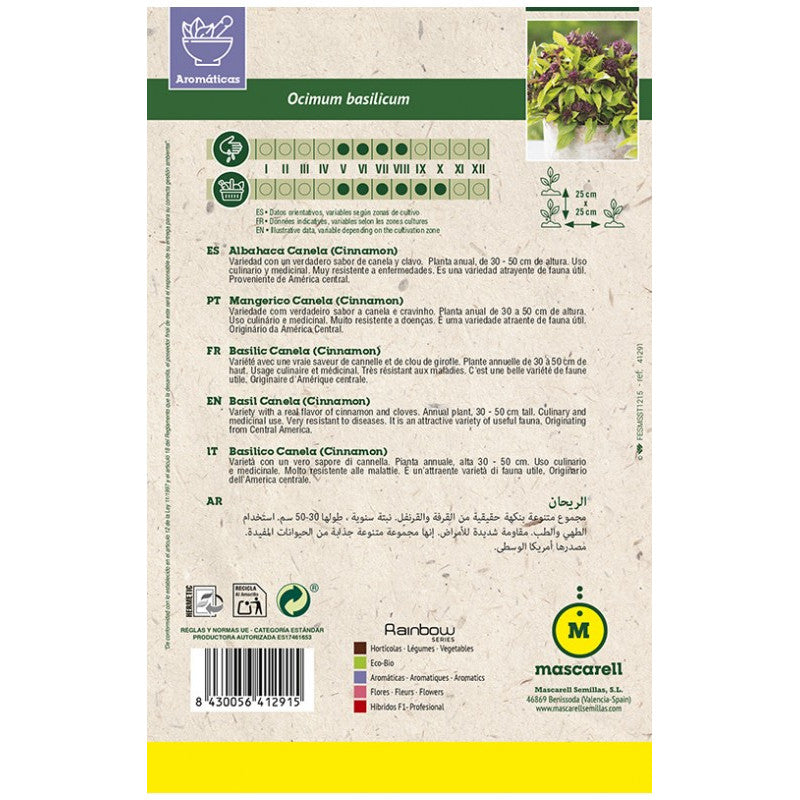 Semillas Albahaca Canela (cinnamon)_1