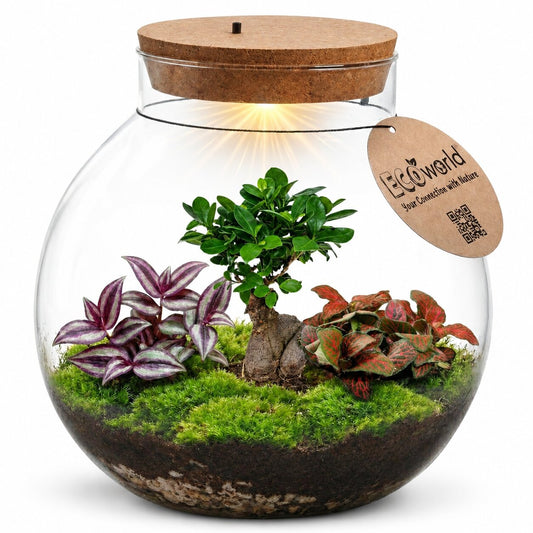 Bonsái Terrario Ecosistema 'biodome' - Con Luz Led - Ø25 Cm_0