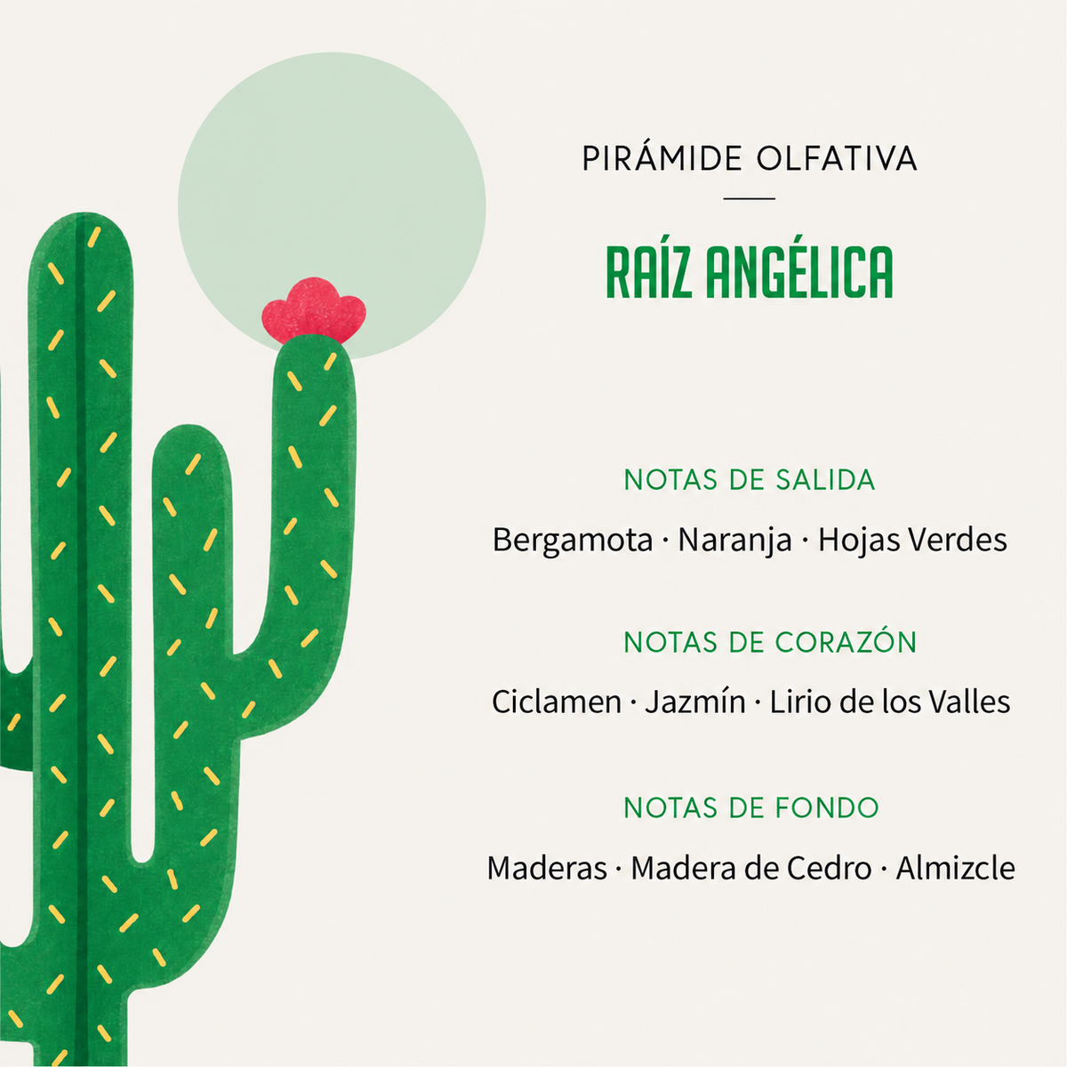 Ambientador Difusor Cactus Raíz Angélica Deco Diffuser SYS Aromas 90 ml | Aroma Herbal y Balsámico | Refrescante_4