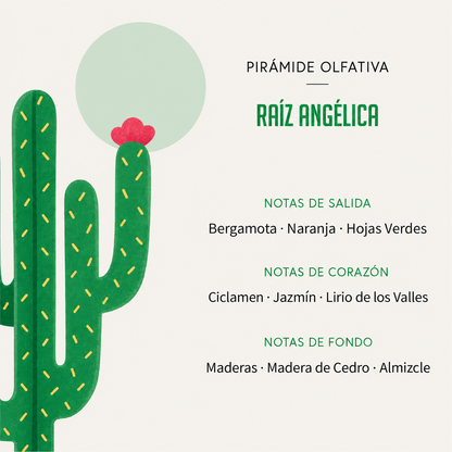 Ambientador Difusor Cactus Raíz Angélica Deco Diffuser SYS Aromas 90 ml | Aroma Herbal y Balsámico | Refrescante_4