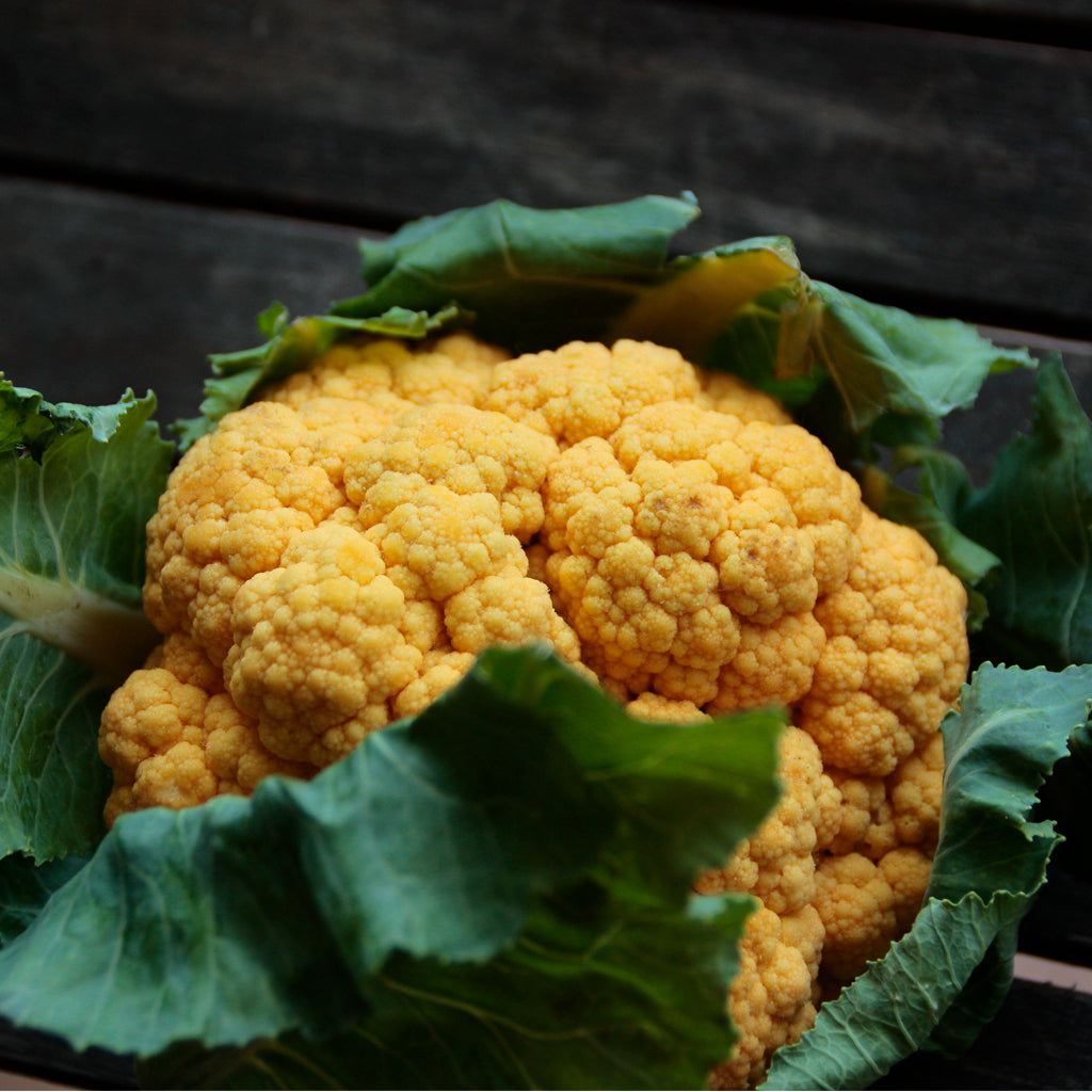 Plantón Coliflor Naranja - PlantaBo_1