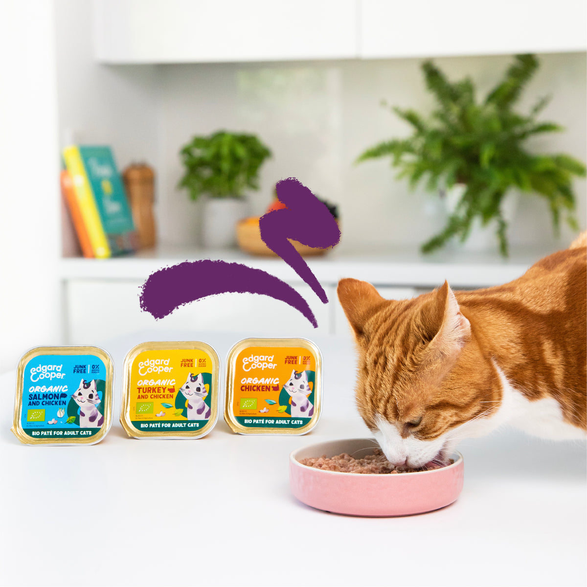 Paté ecológico de pavo para gato adulto Edgard & Cooper 85 g