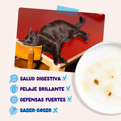 Sobres de comida húmeda para gatos Captura del Día Selección de Pescado en Salsa | Edgard &amp; Cooper 85 g