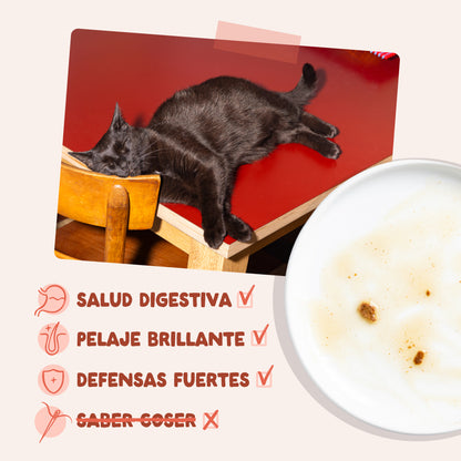 Sobre de Comida Húmeda Trucha &amp; Pollo en Salsa para Gatos Edgard &amp; Cooper 85 g