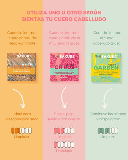 Champús Sólidos Trio - Pack De Champús Sólidos Sin Sulfatos Ni Siliconas 3 X 85 G Bio Sakure_1