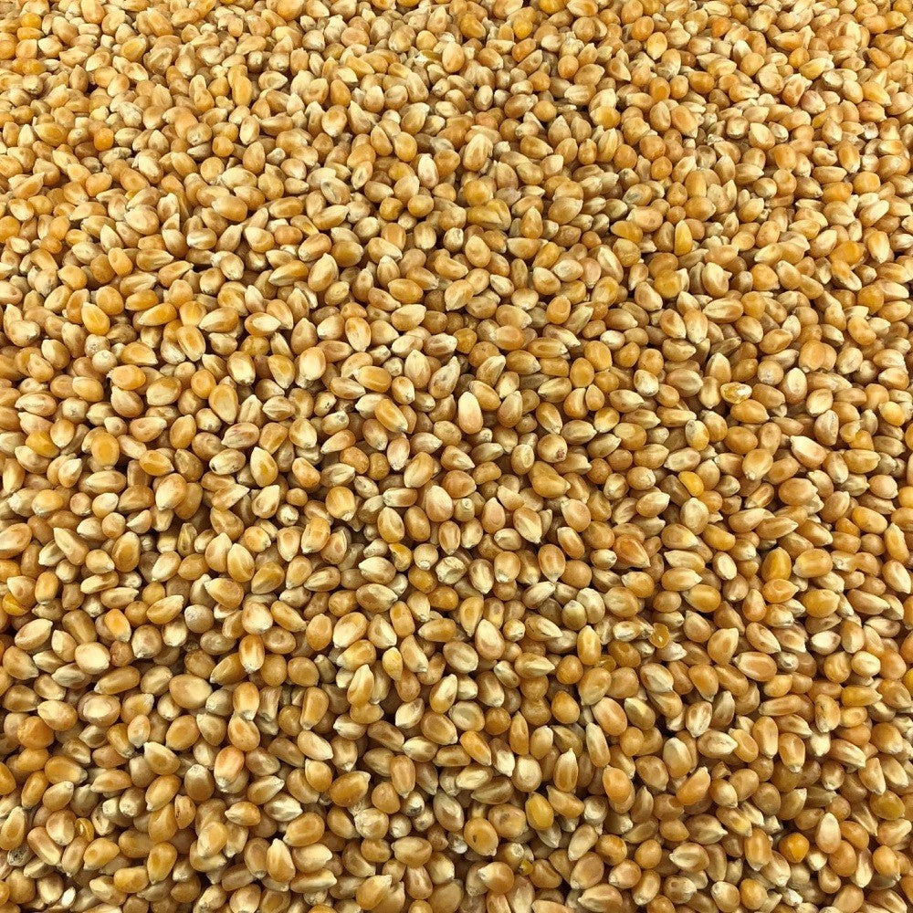Palomitas De Maíz Ecológicas Granel 5 Kg_2